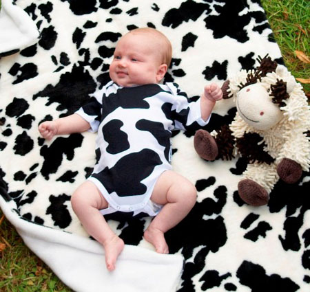 cow blanket